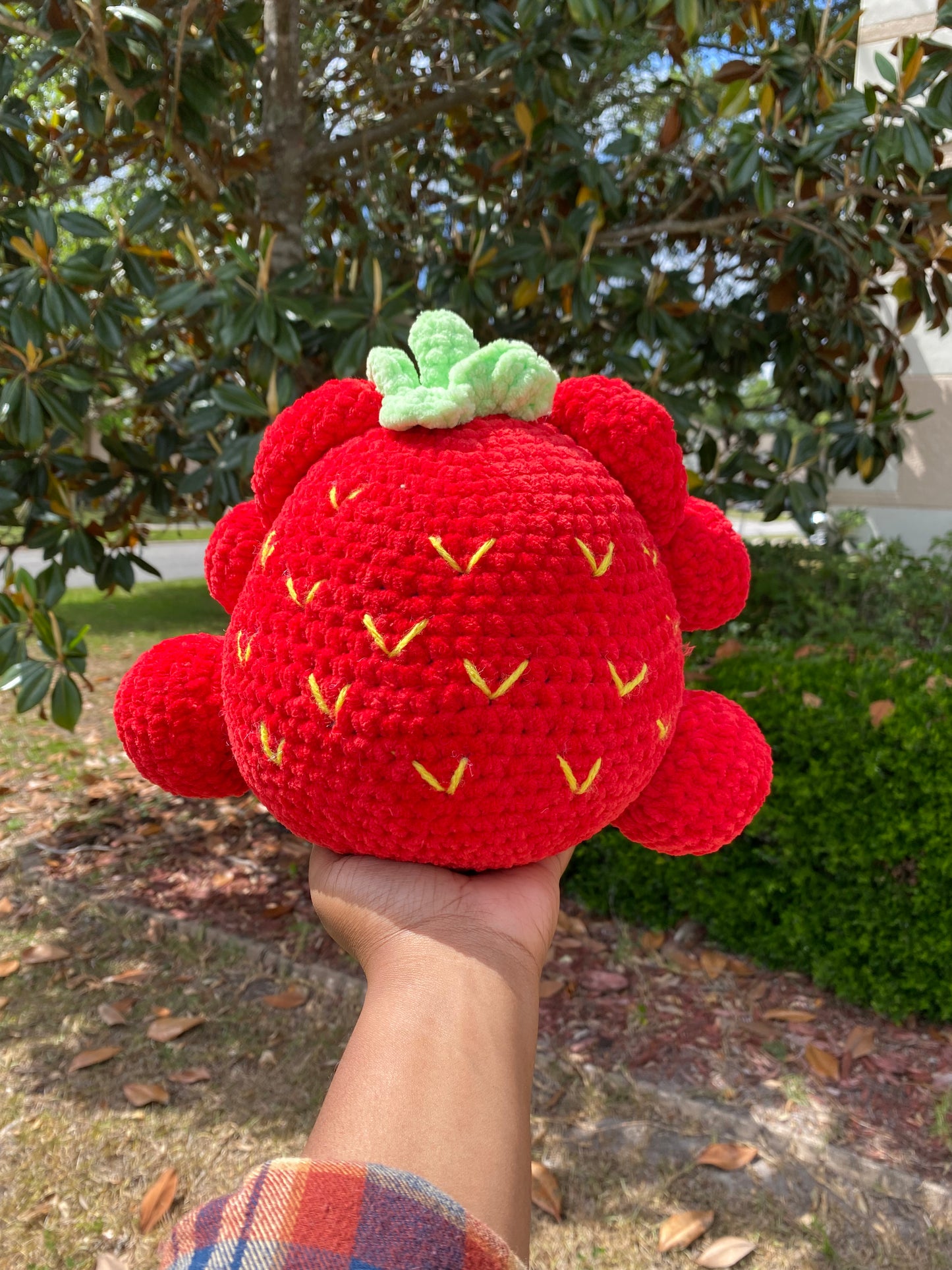 Fruit Bears