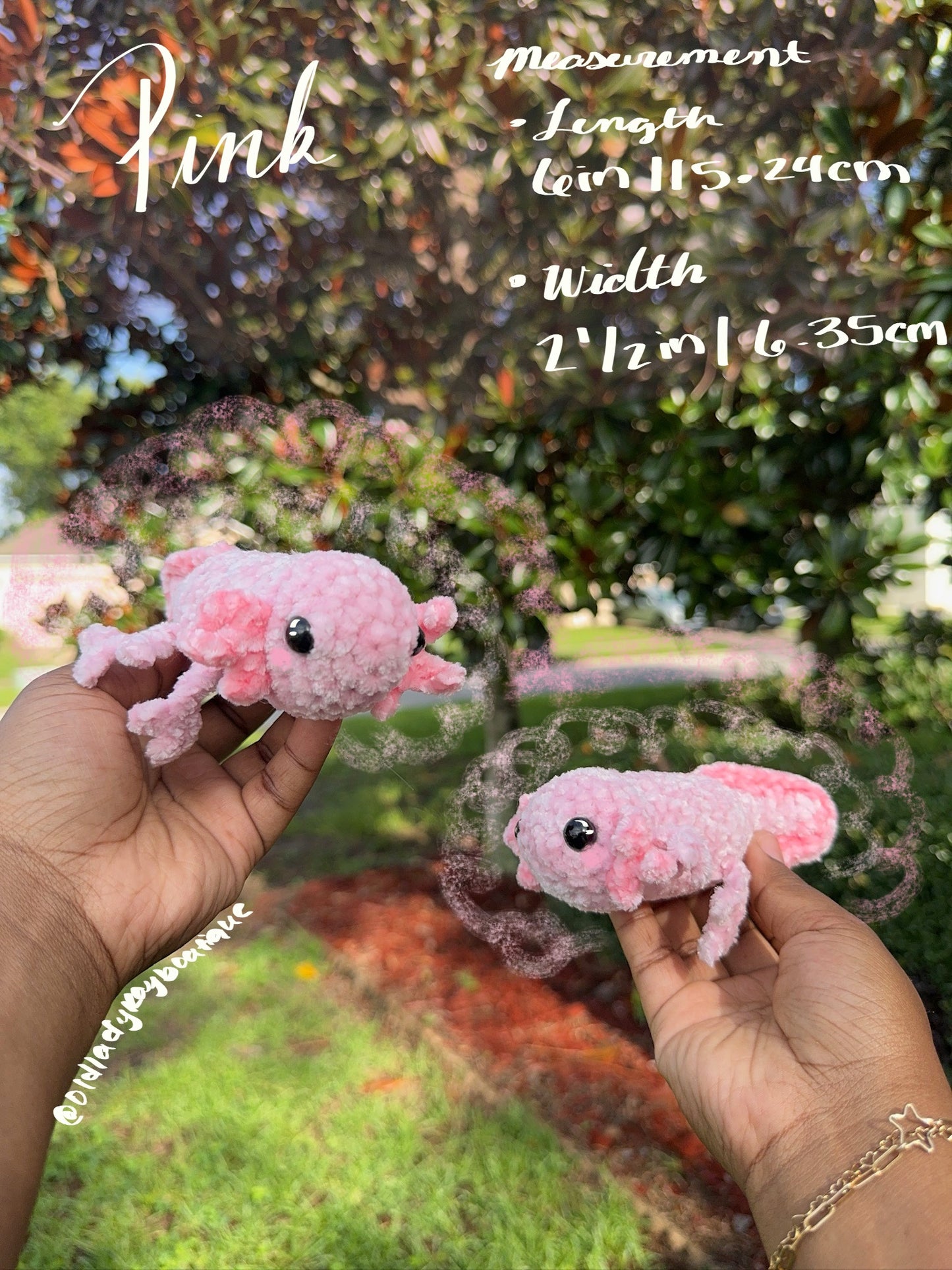 Baby Axolotl