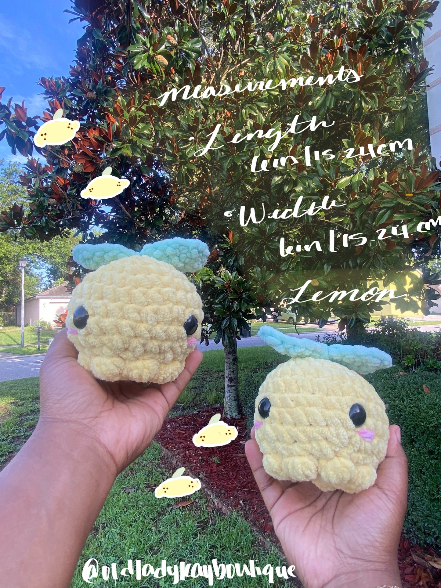 Fruit Octos