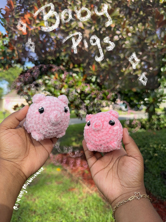 Baby Pigs